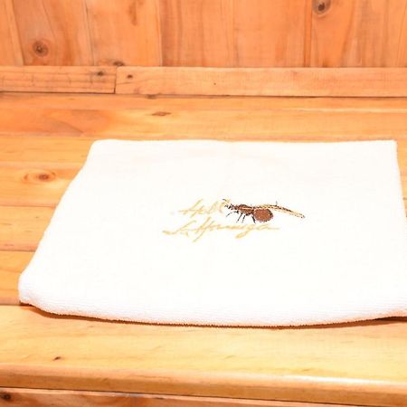 Hotel La Hormiga ブカラマンガ エクステリア 写真