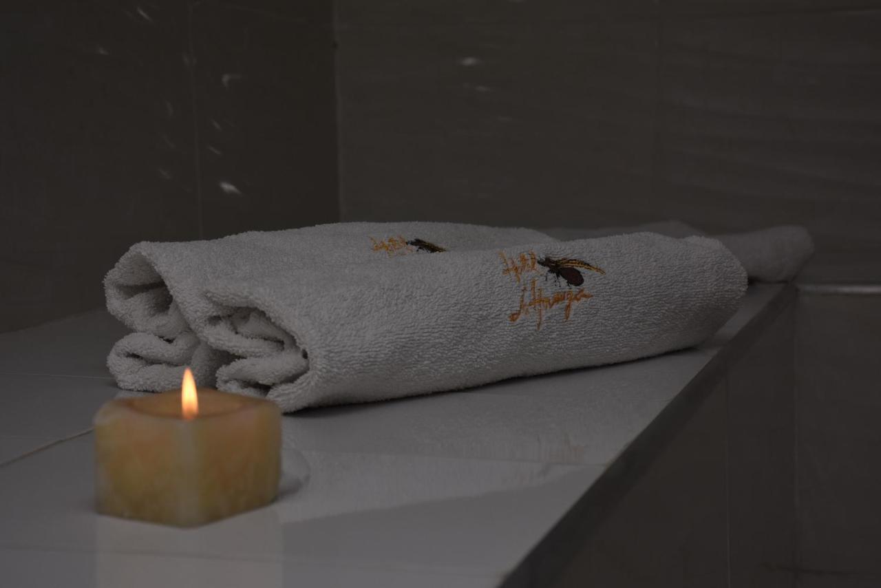 Hotel La Hormiga ブカラマンガ エクステリア 写真